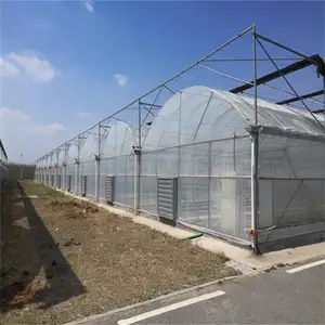 Invernaderos de setas de polietileno, tuneles de agricultura