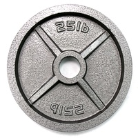 Plaque de poids Standard en fonte revêtu, plastique robuste, gris