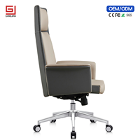 Chaise de bureau ergonomique professionnelle avec soutien lombaire et fonction pivotante