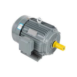 Moteur triphasé Dellette IE4 160KW 215HP 6P 3000RPM 380V 400V 460V B3 en fonte pour propulsion marine, moteur à induction auxiliaire - Product Image 3
