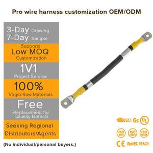コンパクトなバッテリーパック設計のための内部バッテリーBMSケーブルハーネス（FPCフレックスケーブルと9つのデュアルローコネクタ付き） - Product Image 3
