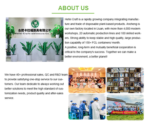 65mm 93mm 114mm gỗ Kem Popsicle dính với logo - Product Image 4