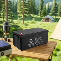 Batterie solaire certifiée CE 12V 200AH pour le type scellé AGM au plomb pour le stockage d'énergie