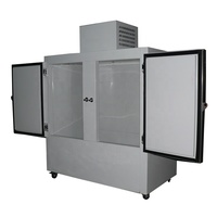 Congélateur vertical à 2 portes, porte pleine, refroidissement direct, réfrigérateur commercial, fabricant personnalisable