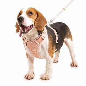 OEM Custom Design Adjustable Waterproof Durable PVC Dog <b>Harness</b> Leash Hands-Free Soft Dog Leash Solid Fashion Dog Walking - Product Image 1