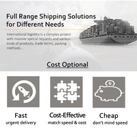 Ausdirect, transitaire leader, agent maritime Chine-Australie DDU DDP