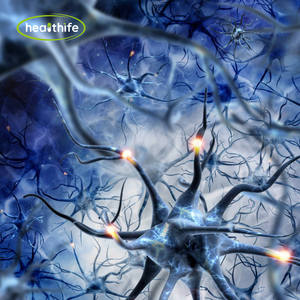 Healthife 50% 99% alfa glicerilfosforilcolina Gpc colina glicerofosfato in polvere alfa Gpc - Product Image 3