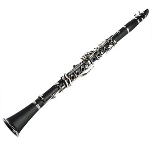 <span class=keywords><strong>Clarinetto</strong></span> professionale <span class=keywords><strong>B</strong></span>-Flat con corpo <span class=keywords><strong>in</strong></span> ABS con garanzia di qualità Logo personalizzato a 17 tasti - Product Image 2