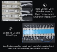 Заводские светодиодные модули DC 12V IP67 водонепроницаемые 0.72W 3 LED SMD5050 для наружной рекламы и вывесок