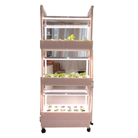 Planteur de légumes intelligent pour plantes hydroponiques, cadre de culture, stylé, Simple, avec couches réglables, nouveau,