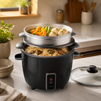 Cuisinière à riz électrique 0,6L-2,8L avec cuve antiadhésive et boîtier en acier inoxydable pour usage domestique
