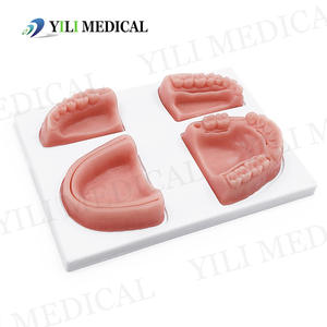 Módulos de Entrenamiento Dental para Dientes y Encías, Instrumentos Quirúrgicos Orales, Kit de Suturas, Equipo Esencial para Terapia y Accesorios - Product Image 1