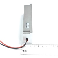 Módulo Amplificador de Potencia RF GaN G1300-1500 de 100W, 1300-1500MHz, Fuente de Señal VCO Integrada