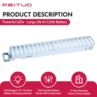Lampe d'urgence portable FEITUO à double batterie et 90 LED pour le marché américain, exportation au Vietnam, usine OEM ODM, fournisseur de marque