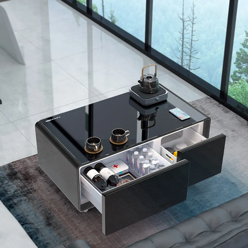 Living Room and Apartment smart Coffee Table Living Furniture Modern Stylish Metal Carton