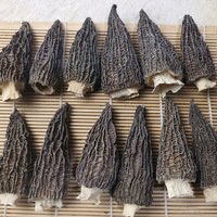 Prix Préférentiel Morilles de Haute Qualité, Champignons Morilles Cultivées Biologiques Séchées