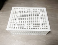 Conteneur de stockage logistique pliable multifonction en plastique, design en maille, empilable et pliable, pour poulets