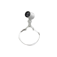 Aluminium-Garten-PWM-RGB/RGBW-LED-Baumbeleuchtung, wasserdicht IP65, warmweiße Flutlichtlampe mit Ring