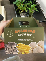 Boîte de culture de champignons vide avec impression de logo personnalisée, kit de culture de champignons, boîtes d'emballage en carton ondulé pour la culture de champignons