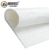 Tissu géotextile en filament sur mesure WSL pour la stabilisation des sols, la protection des pentes de montagne et la construction de rampes d'accès autoroutiers