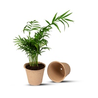 Pots à semis écologiques biodégradables en pulpe de papier, plateaux de démarrage pour pépinière, pour l'agriculture, moulage de pulpe pressée à l'humide