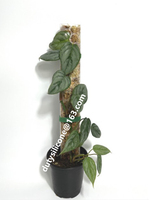 Nouvelle idée 2022 colonne de Support de plante en plastique pour plantes grimpantes Support pour plantes d'intérieur bâtons de mousse de Support de Sphagnum
