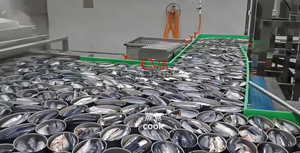 中国製の高品質自動ツナ・イワシ魚加工機・缶詰魚製造ライン - Product Image 6