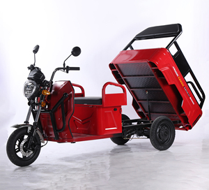 EEC chứng nhận nhiệm vụ nặng nề e-cargo Trike cho hậu cần Châu Âu Pin Kép 1000W Điện ba bánh điện mở cơ thể đóng - Product Image 2