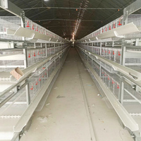 Cage à poules pondeuses de haute qualité, type H, entièrement automatique, pour 100 000 poulets, ferme avicole, cage en batterie pour poules pondeuses