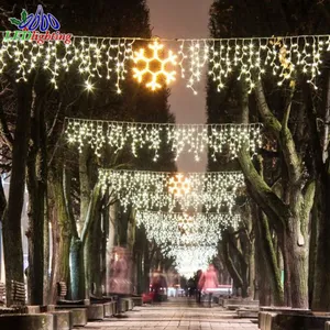 China supply 24V-240V led star with ball light Christmas decorate commercial street