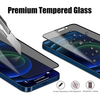 Vente en gros 9H Anti-espion Confidentialité Protecteur d'écran en verre trempé pour iPhone 12 13 Pro Max pour téléphones mobiles