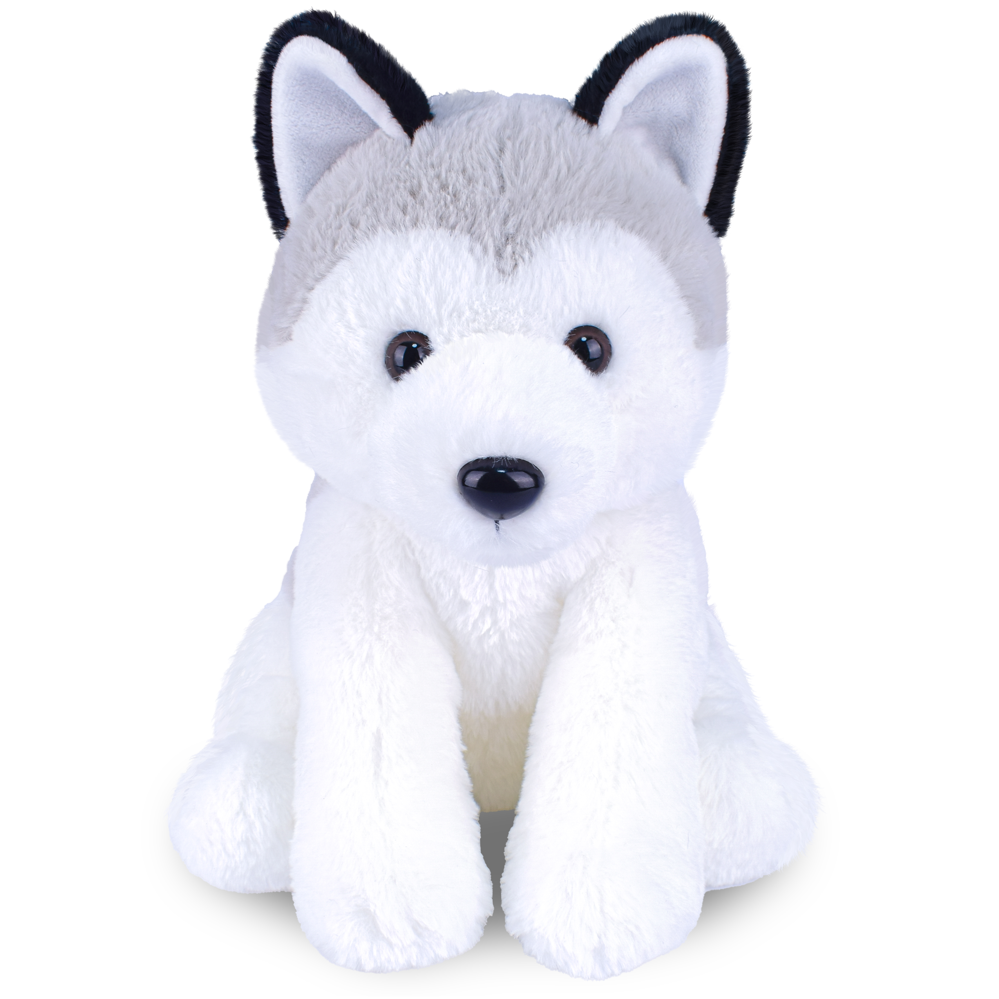 Husky