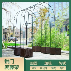Iron Climbing <b>Trellis</b> Arch For Roses Grapes Clematis Outdoor Garden Patio <b>Plant</b> Support Easily Assembled Round Shape - Product Image 5