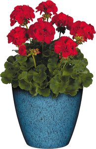 Maceta <span class=keywords><strong>de</strong></span> cerámica esmaltada reactiva clásica para el hogar y macetas <span class=keywords><strong>suculentas</strong></span> <span class=keywords><strong>de</strong></span> porcelana para exteriores - Product Image 3