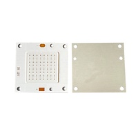 630nm 730nm 850nm 940nm 2700K 3000K 6000K 6500K 12V Conseil Spectre Complet Élèvent La Lumière COB LED Puce