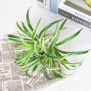 Plante artificielle murale en forme d'araignée, 35 pouces, verte avec bords blancs, fleur en soie plastique, décoration intérieure - Product Image 4