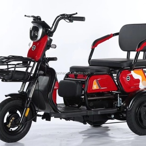 รถสามล้อไฟฟ้าแบบพกพา รุ่นใหม่แบบเปิดประทุน กำลังไฟ 48V 1000W ได้รับการรับรองมาตรฐาน EEC - Product Image 2