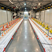 Nouvelle ligne d'alimentation automatique intelligente Huabang pour volailles, mangeoire en PP vierge, équipement d'alimentation pour poulets, systèmes d'élevage avicole à grande échelle