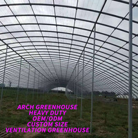 Serre tunnel agricole et horticole complète : ensemble d'équipement, petite serre mono-chapelle en PE avec structure de cadre