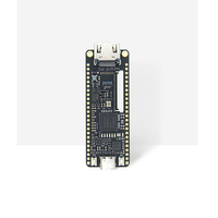 Kit de développement FPGA Sipeed Tang Nano 9K avec carte RISC-V GW1NR-9, modèle C3571, options d'écran de 1,14 à 7 pouces
