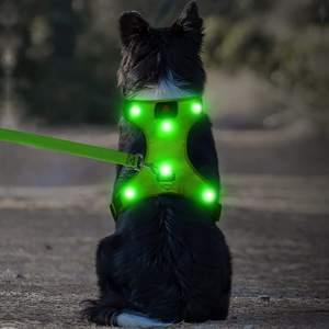 Arnés LED Flashseen para perros iluminado, arnés recargable por USB para mascotas, chaleco reflectante iluminado para perros que brilla intensamente - Product Image 1