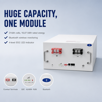 Paket Baterai LiFePO4 Rak 16kWh 51.2V dengan Bluetooth BMS untuk Penyimpanan Energi Surya Rumah Tangga, Inverter Hybrid, dan Cadangan Daya Rumah