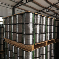 Fil d'acier inoxydable recuit à froid de qualité 316/304, 0,7 0,8 1,0 mm, prix de gros usine Chine, norme AISI