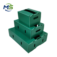Boîte en carton alvéolaire recyclable en PP industriel pour fruits, légumes, œufs, viande, conforme aux normes FDA, emballage alimentaire conforme aux normes UE FCM