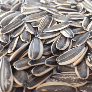 גרעיני חמניות בטעם מקורי פרימיום, חטיף בריא, פריך ומשביע, ללא תוספים - Product Image 6