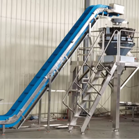 Convoyeur à bande modulaire automatique à grande inclinaison pour le levage de bonbons, de soja vert, de légumes et de tomates, avec trémie d'alimentation - Prix