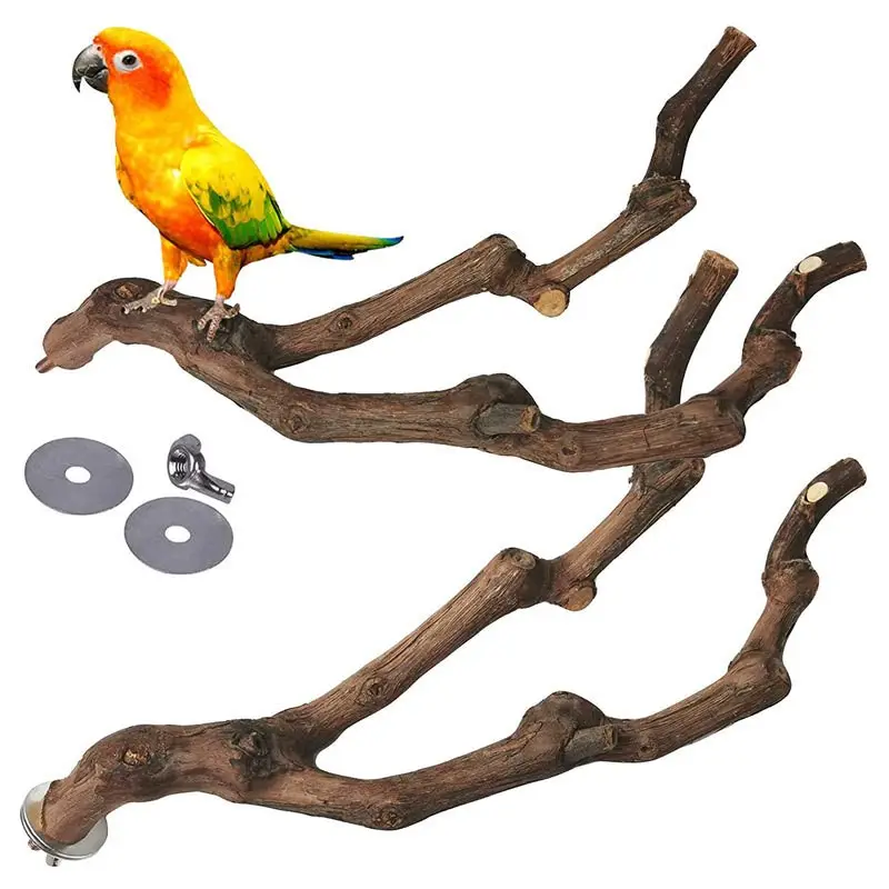 बर्ड पर्च स्टिक ग्रेपवाइन पक्षी स्टैंड प्राकृतिक चित्र टिकाऊ तोता खिलौना समर्थन लकड़ी कॉफी जावा तोता छोटा मध्यम पक्षी