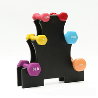 Support de rangement intérieur en fer pour haltères et poids de musculation – Support et présentoir portable sécurisé pour haltérophilie