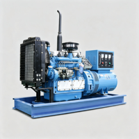 Groupe électrogène polyvalent 10 kVA avec AVR et disjoncteur pour l'éclairage temporaire et les outils de chantier