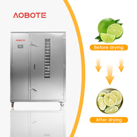 Industriële commerciële dehydrator voor het drogen van bananenchips, mango-, appel- en citroenchips, fruitdehydrator met warmtepomp